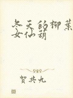 冬天的柳叶 凡女仙葫