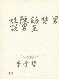 姓陈的双男主小说男主