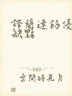 锋兰达的优点和缺点