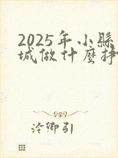 2025年小县城做什么挣钱快?