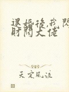 退婚后,我闪婚财阀大佬