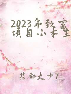2023年致富项目小本生意