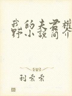 我的夫君权倾朝野小说简介