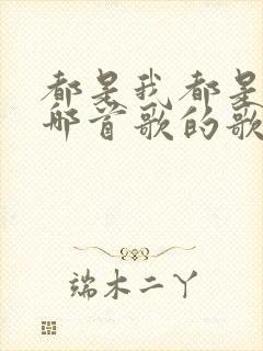 都是我都是我是哪首歌的歌词