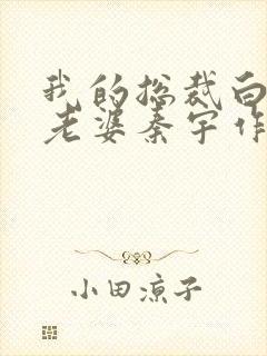 我的总裁白富美老婆秦宇作者