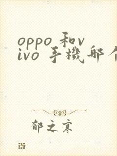 oppo 和vivo 手机哪个好
