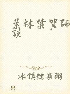 叶林禁咒师的小说