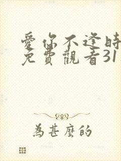 爱你不逢时短剧免费观看31集播放