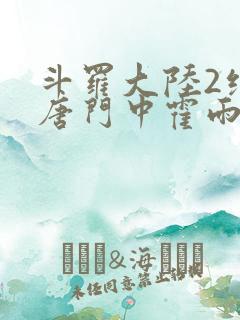 斗罗大陆2绝世唐门中霍雨浩