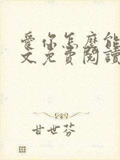 爱你怎么能了全文免费阅读