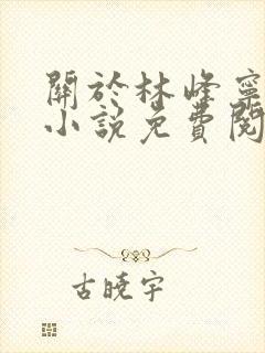 关于林峰宁欣的小说免费阅读