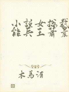 小说女总裁的全能兵王萧晨