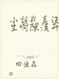 小说我真没想重生啊陈汉升