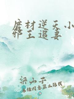 废材逆天小姐之邪王追妻