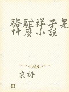 骆驼祥子是一篇什么小说