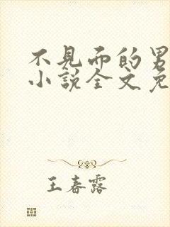 不见面的男朋友小说全文免费阅读