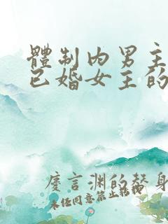 体制内男主看上已婚女主的小说