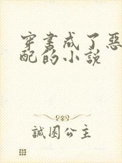 穿书成了恶毒女配的小说