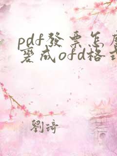 pdf发票怎么变成ofd格式发票