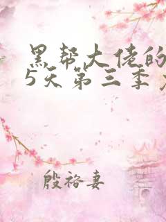 黑帮大佬的365天第三季免费观看全集电影