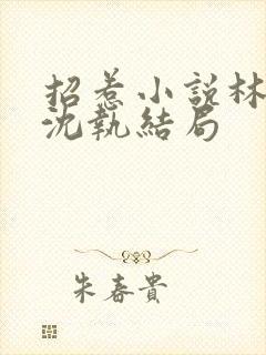 招惹小说林清然沈执结局