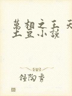 万相之王 天蚕土豆小说