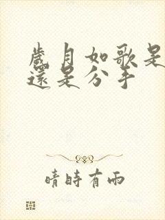 岁月如歌是表白还是分手