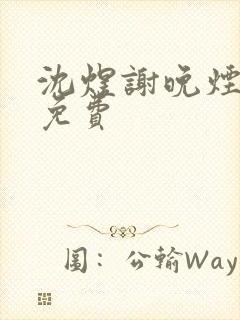 沈煜谢晚烟小说免费