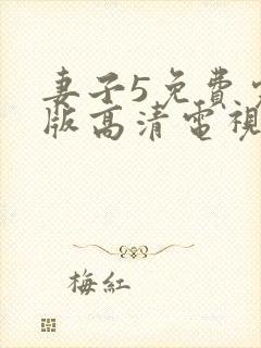 妻子5免费完整版高清电视剧在线看