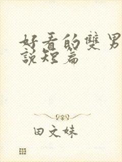 好看的双男主小说短篇