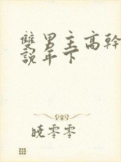 双男主高干文小说年下