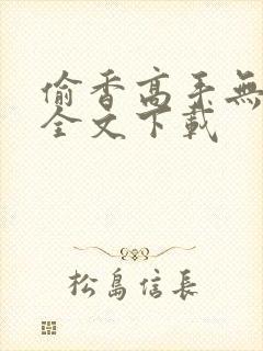 偷香高手无删减全文下载