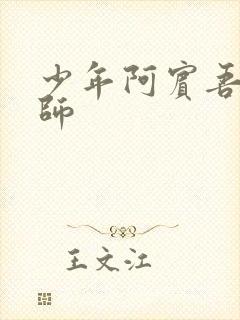 少年阿宾吾爱吾师