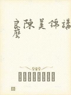 良陈美锦讲了什么