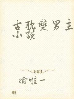 古耽双男主生子小说