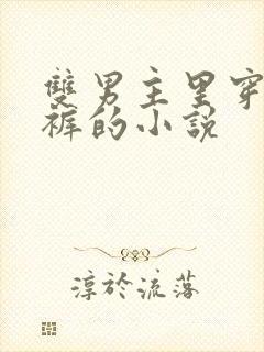 双男主里穿纸尿裤的小说