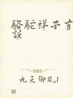 骆驼祥子有声小说