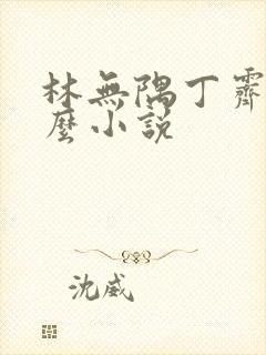 林无隅丁霁是什么小说