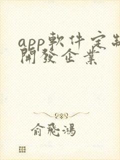 app软件定制开发企业