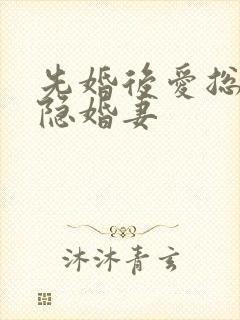 先婚后爱总裁的隐婚妻