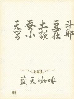 天蚕土豆斗破苍穹小说在哪可以看