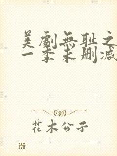 美剧无耻之徒第一季未删减