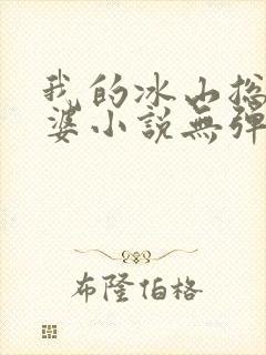 我的冰山总裁老婆小说无弹窗