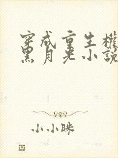 穿成重生权臣的黑月光小说