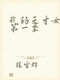 我的天才女友 第一季