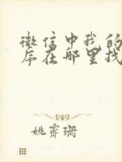 微信中我的小程序在哪里找