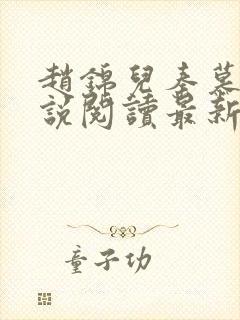 赵锦儿秦慕修小说阅读最新