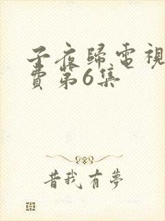 子夜归电视剧免费第6集