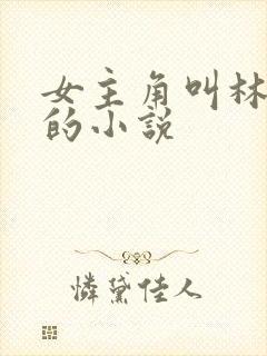 女主角叫林恩恩的小说