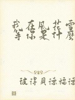 我在风花雪月里等你是什么